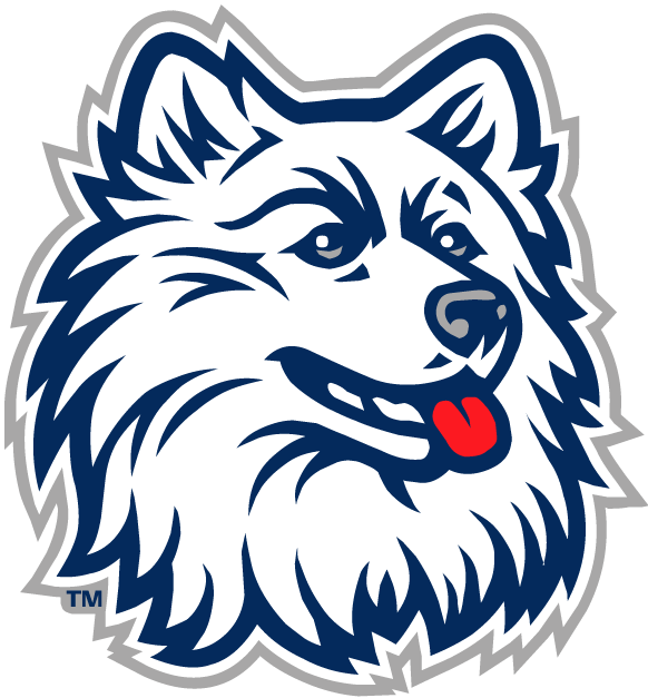 UConn Huskies 1996-2012 Primary Logo diy fabric transfer